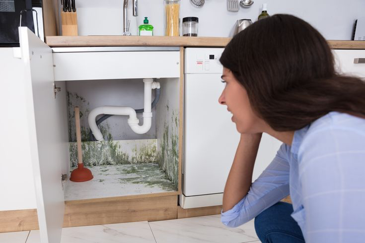 Water Leaks